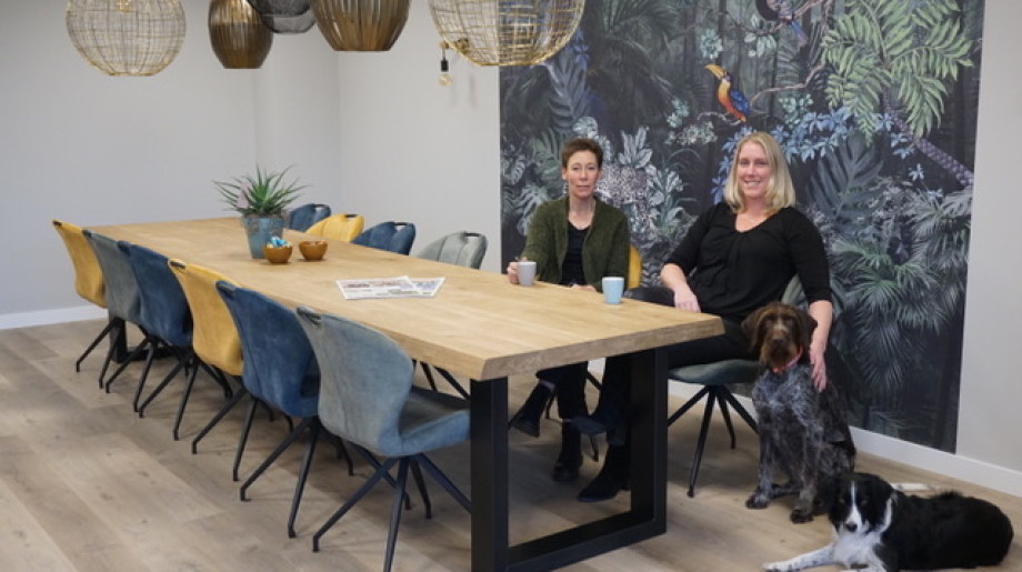 Face to Face thuisbegeleiding Budel afbeelding 2